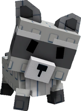 Racoon